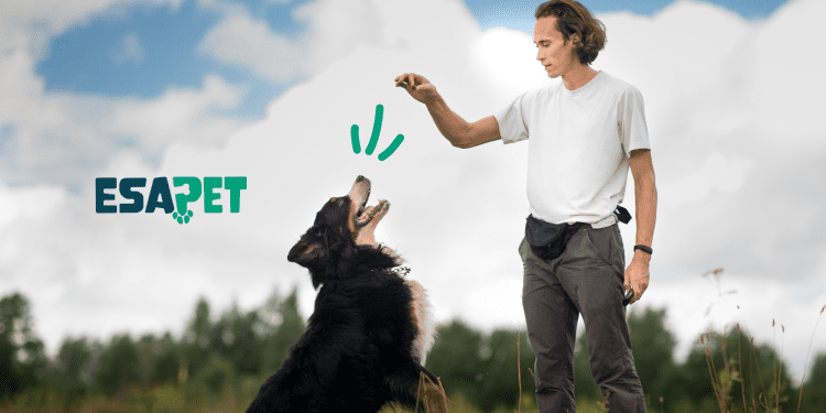 emotional support dog training emotional support dog training