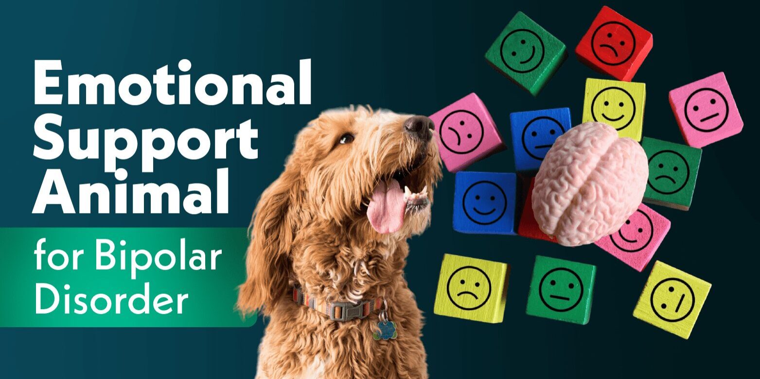 Emotional Support Animal for Bipolar Disorder