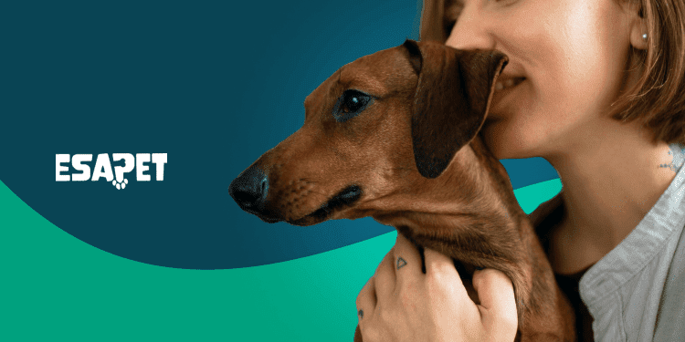 where to get a psychiatric service dog